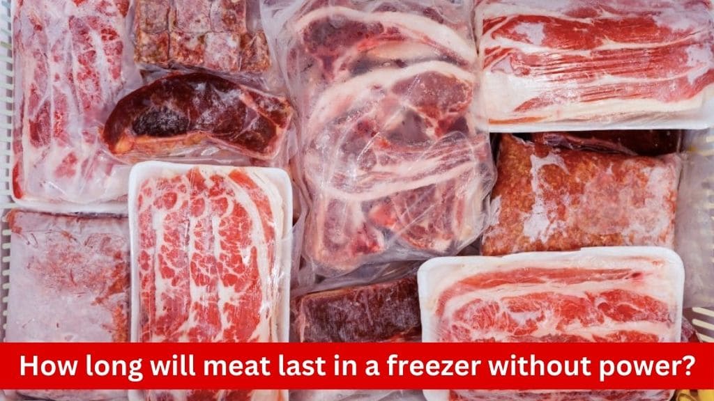 how long will meat last in freezer without power