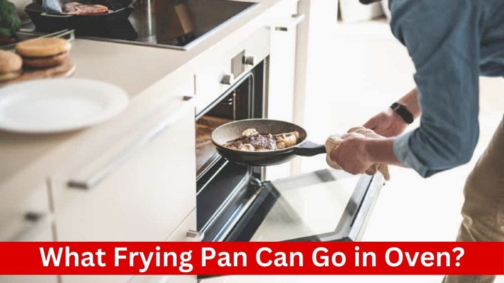 what frying pan can go in oven