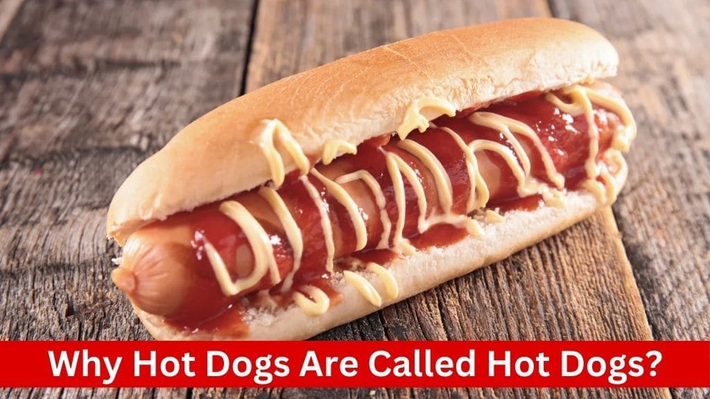 why hot dogs are called hot dogs